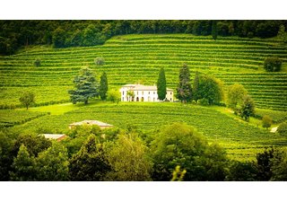 Nová vína z údolí Rhôny Nová vína z údolí Rhôny